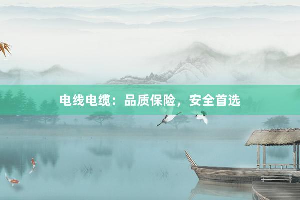 电线电缆：品质保险，安全首选