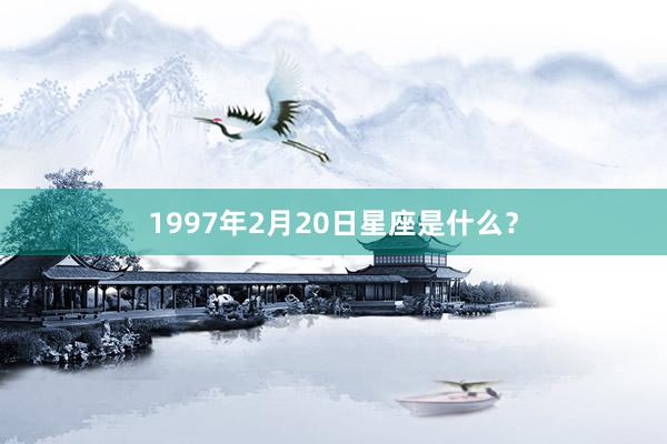1997年2月20日星座是什么？