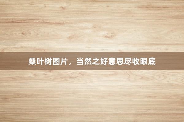 桑叶树图片，当然之好意思尽收眼底
