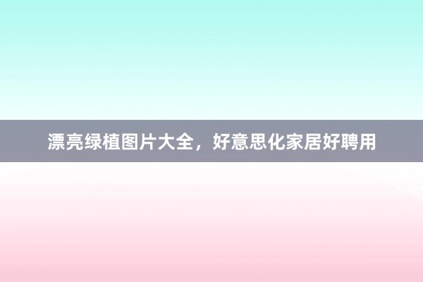 漂亮绿植图片大全,好意思化家居好聘用